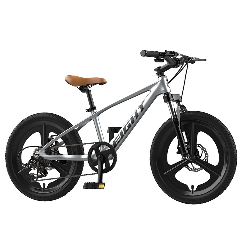 20 pulgadas de niños Magnesium Alloy bike